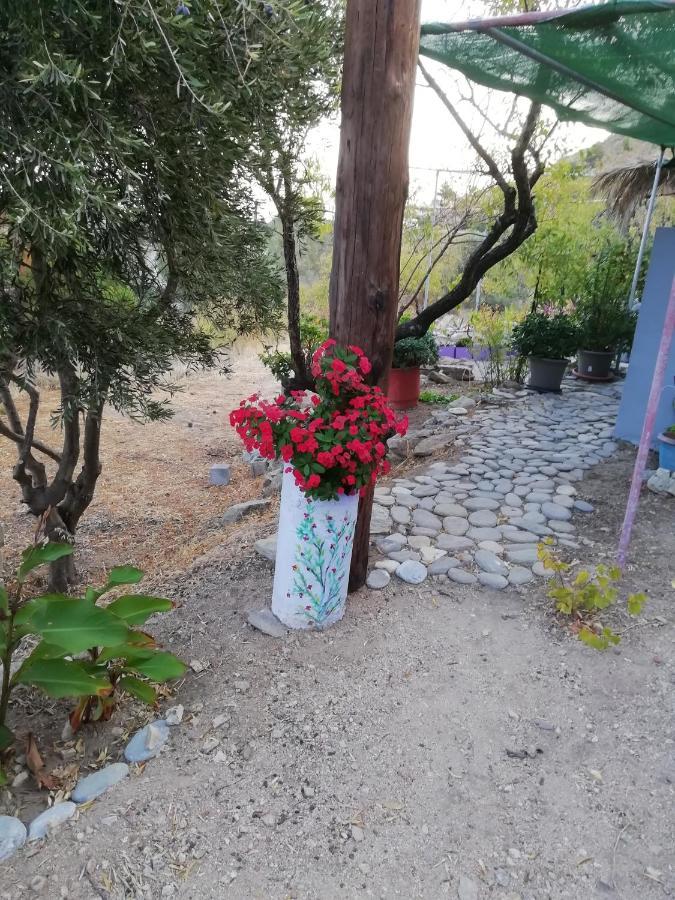 Myrovolos Villa Armenistis  Eksteriør billede